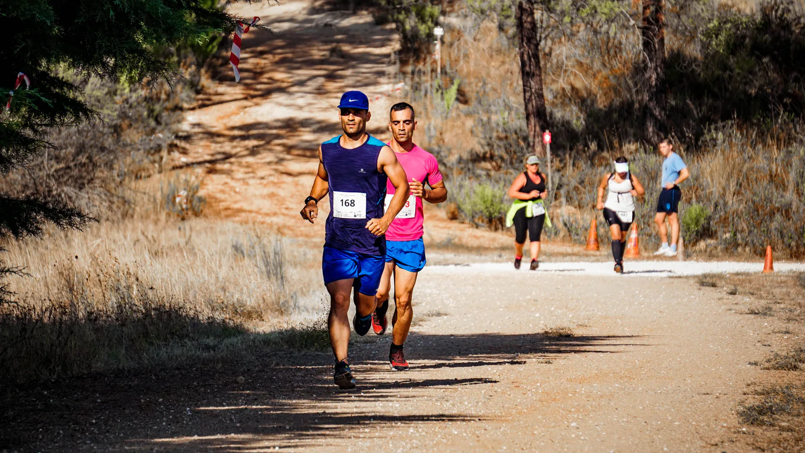 Marathon runners on a scenic forest road