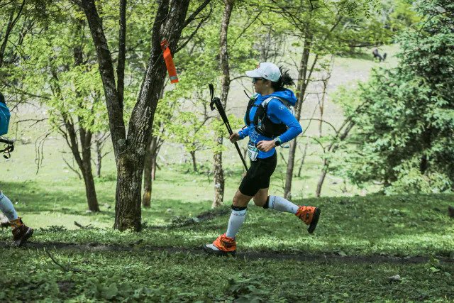 Trail runners in a forest